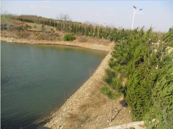 “水質(zhì)純凈”自2002年承包廢棄地、荒山治理種植茶葉以來(lái)，園區(qū)內(nèi)建造大口井