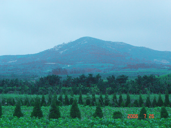 “優質土壤”生態園遠離城鎮，遠離工業區，土壤絕對天然、環保、綠色無污染